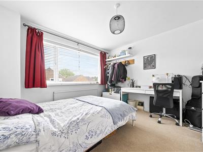 Picture 20
